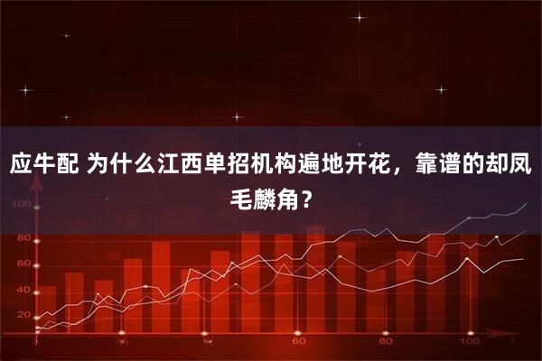 应牛配 为什么江西单招机构遍地开花，靠谱的却凤毛麟角？