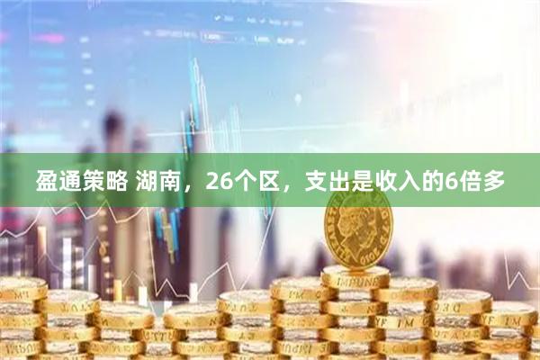盈通策略 湖南，26个区，支出是收入的6倍多