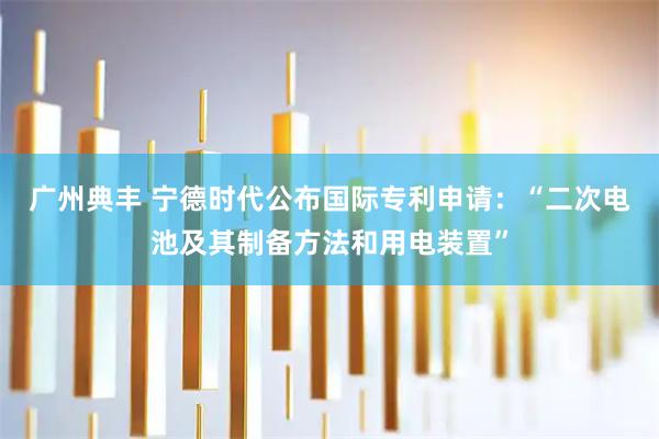 广州典丰 宁德时代公布国际专利申请：“二次电池及其制备方法和用电装置”