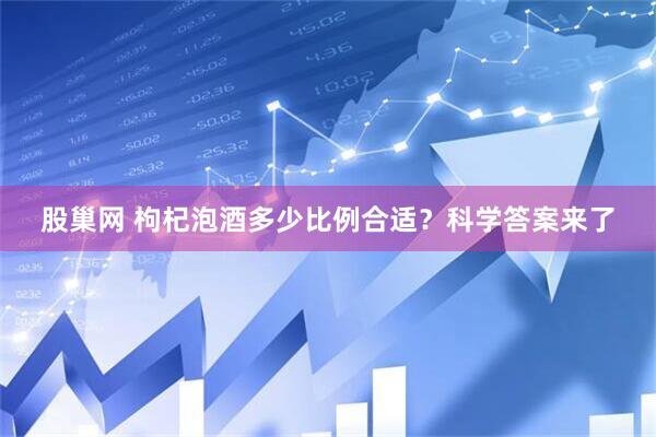 股巢网 枸杞泡酒多少比例合适？科学答案来了