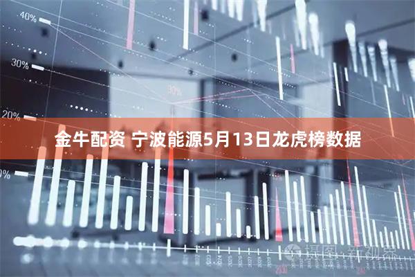 金牛配资 宁波能源5月13日龙虎榜数据