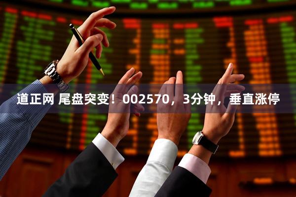 道正网 尾盘突变！002570，3分钟，垂直涨停