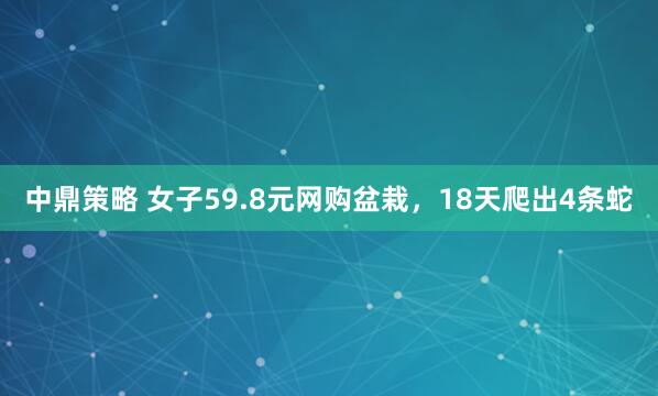 中鼎策略 女子59.8元网购盆栽，18天爬出4条蛇